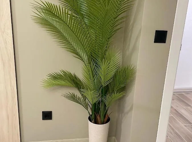 Kristin's Apartmán Burgas City