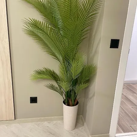 Kristin's Apartment Burgas